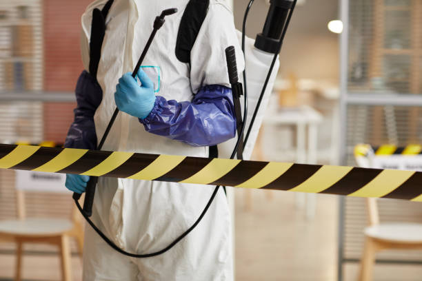 Professional Hoarding Cleanup technician working in Grove City, FL