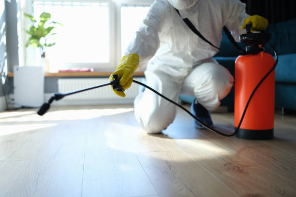 Reliable Hoarding Cleanup contractor in Grove City, FL by Dulley Family Biohazard Services